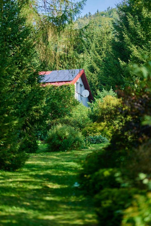Ten Dom W Ludwikowicach Klodzkich Ludwikowice Kłodzkie Esterno foto
