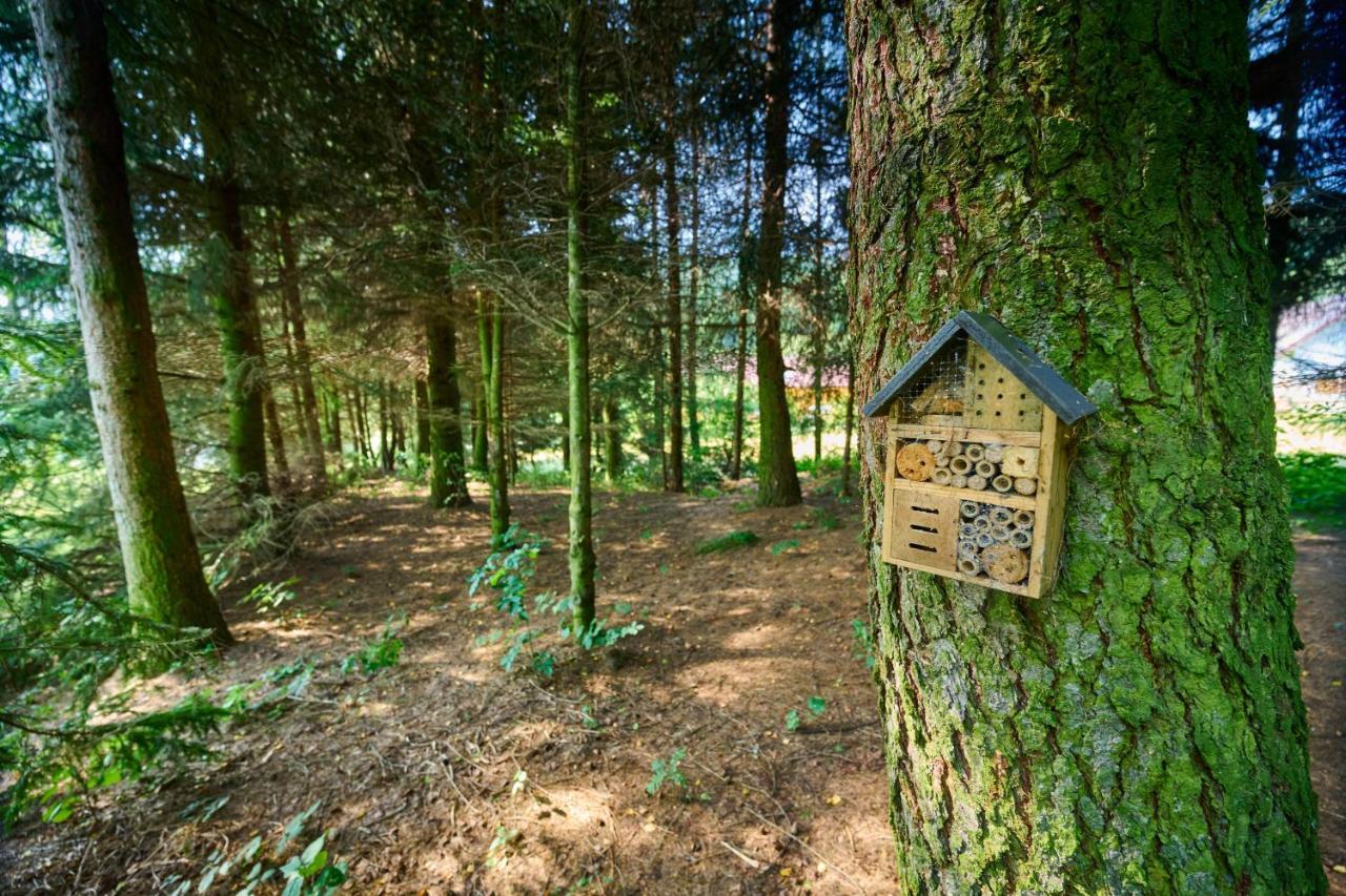 Ten Dom W Ludwikowicach Klodzkich Ludwikowice Kłodzkie Esterno foto